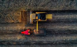 Hububat üretiminden 2024’te rekor bekleniyor