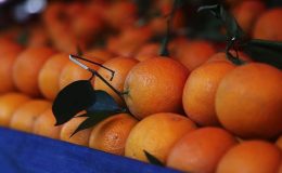 Ocak 2024’te en fazla fiyat farkı portakalda! Üretici ve market arasındaki fark yüzde 404