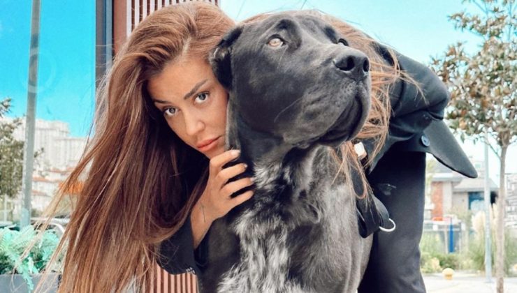 Fenomen Banu Parlak hakkında yeni şikayet: Köpeği, cins köpeği parçaladı!