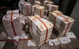 Yerli yatırımcının pay senedine olan ilgisi tekrar arttı