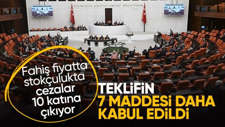 Fahiş fiyat artışı ve stokçuluk cezalarını artıran kanunun 7 maddesi daha kabul edildi
