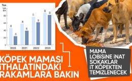 Ticari hayvan mamalarının üretimi arttı