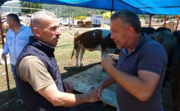 Trabzon’da kurban pazarında sıkı pazarlık