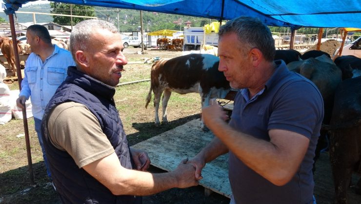 Trabzon’da kurban pazarında sıkı pazarlık