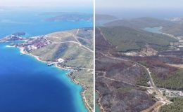Yanan ormanlar rehabilitasyon çalışmalarıyla küllerinden doğuyor