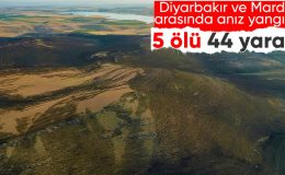 Diyarbakır ve Mardin arasında anız yangını: 5 kişi hayatını kaybetti