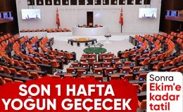 TBMM, yeni haftayı yoğun mesai ile karşılayacak